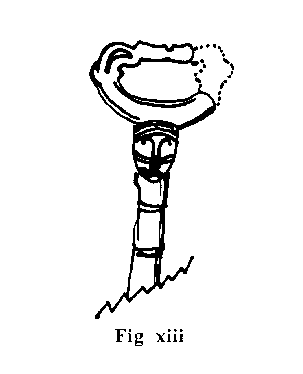 Fig13