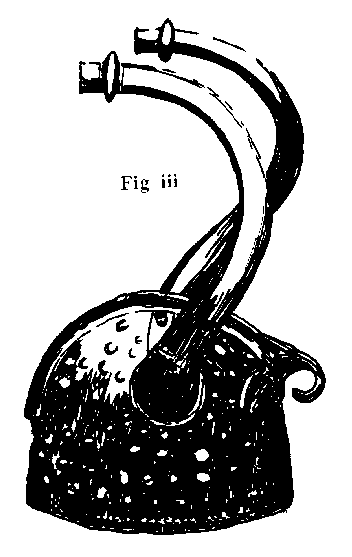 Fig3